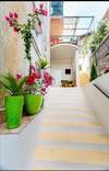 Апартаменты Apartment Dental Херцег-Нови-1
